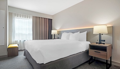 Suite, 1 King Bed with Sofa bed, Accessible, Non Smoking (Efficiency)
