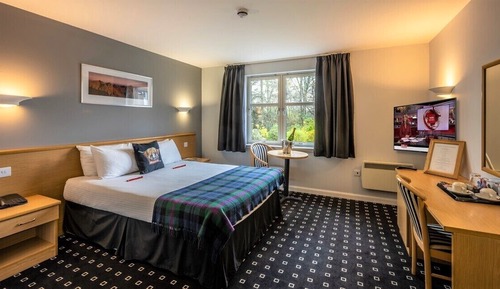 Double Room, 1 King Bed