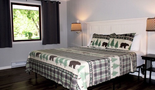 Room, 1 King Bed