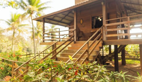 Premium Tree House