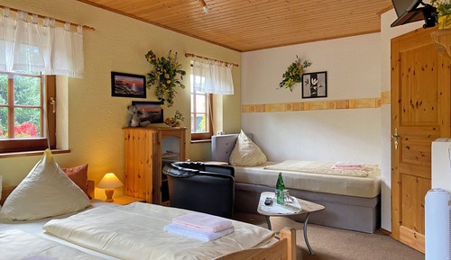 Basic Triple Room
