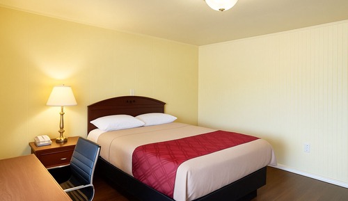 Single Room, 1 Queen Bed, Non Smoking