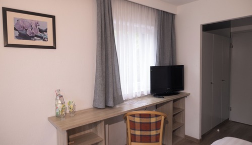 Single Room, Private Bathroom, Mountain View