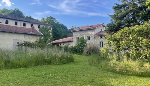 Comfort Cottage, Garden View