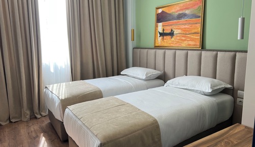 Deluxe Double or Twin Room, Pets Not Allowed, City View