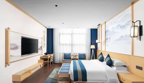 Business Double Room, Mountain View