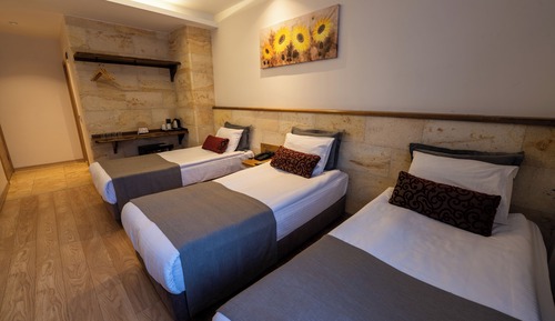 Standard Triple Room, Non Smoking