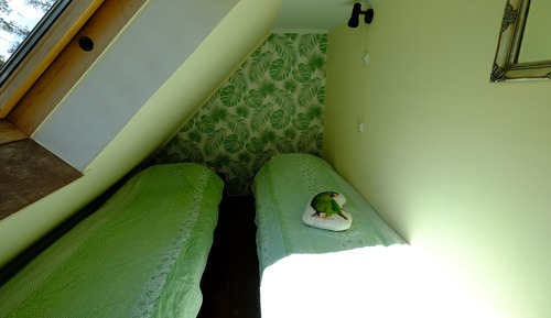 Basic Double Room, Shared Bathroom, Resort View