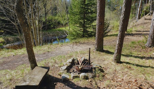 Basic Cabin, Garden View