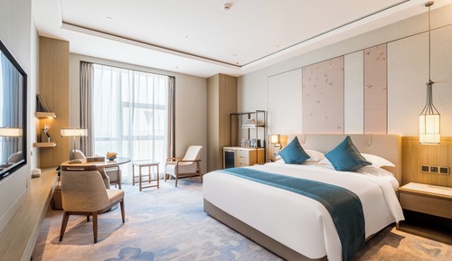Superior Single Room, 1 King Bed, City View