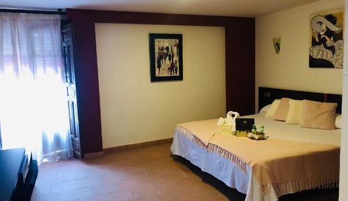 Junior Studio Suite