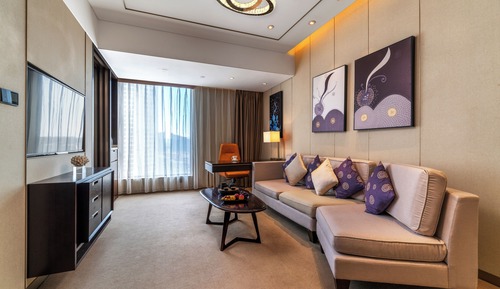 Standard Studio Suite
