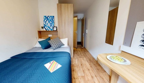 Single Room, Non Smoking