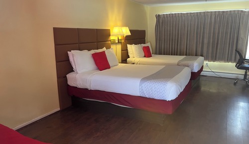Basic Double Room, Mountain View