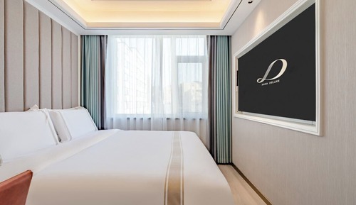 Comfort Single Room