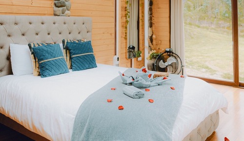 Comfort Cabin, Patio, Mountain View