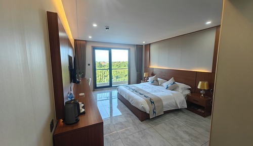 Superior Single Room