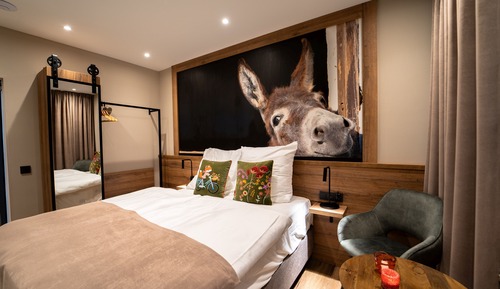 Basic Double Room, Balcony, City View