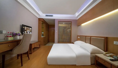 Superior Single Room