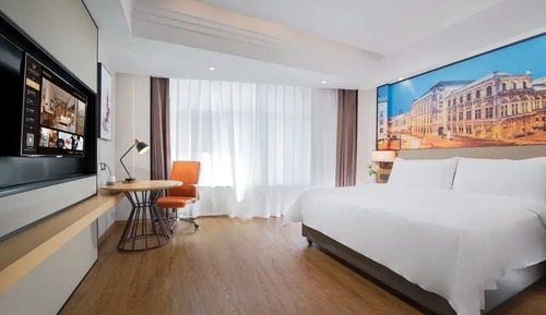 Superior Single Room