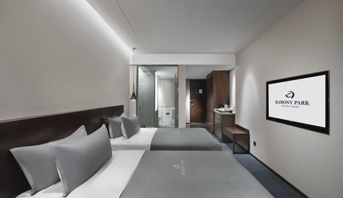 Comfort Double or Twin Room