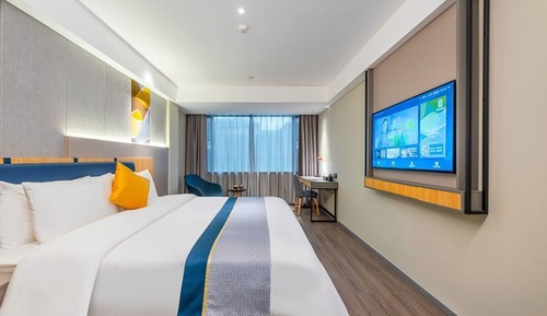 Comfort Single Room
