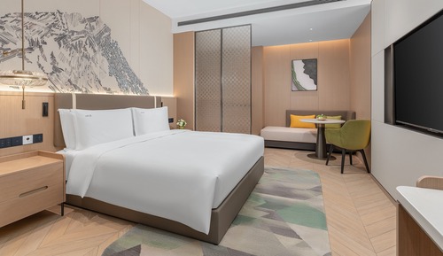 Premium Room, 1 King Bed