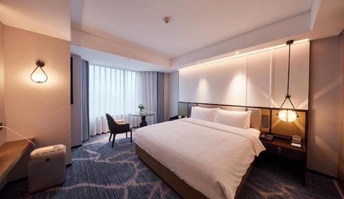 Elegant Business King Room with City View