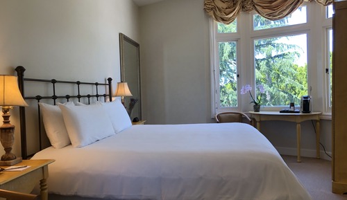 King with Park View 204