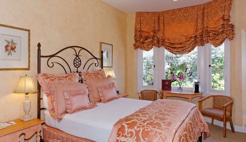 King with Park View 208