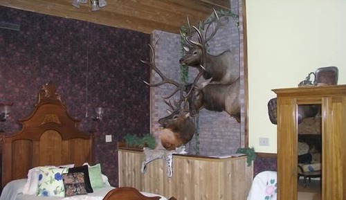 Signature Cabin, 4 Bedrooms, Mountain View