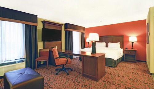 Studio, 1 King Bed, Non Smoking, Refrigerator & Microwave