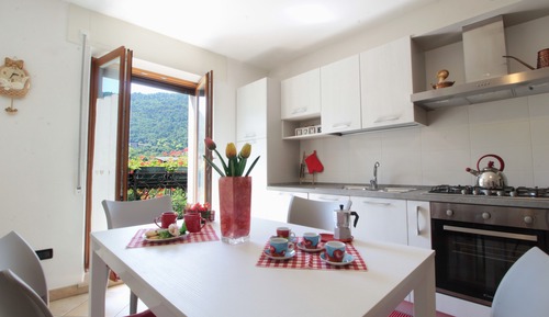 Apartment, Mountain View