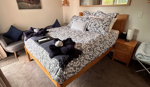 Superior Queen Room