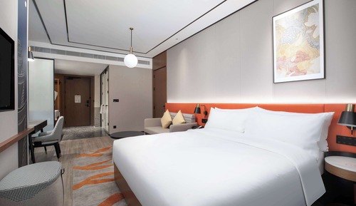 Room, 1 King Bed