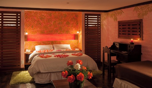 Double Room, Terrace, Garden View