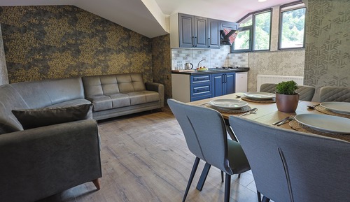 Family Apartment, Mountain View