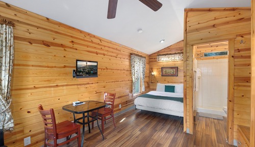 Cabin 9