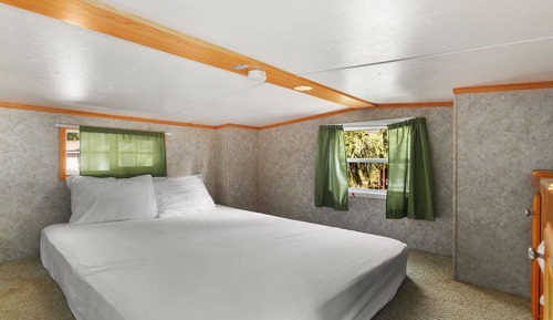 Cabin 8