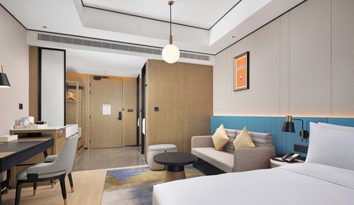 Room, 1 King Bed