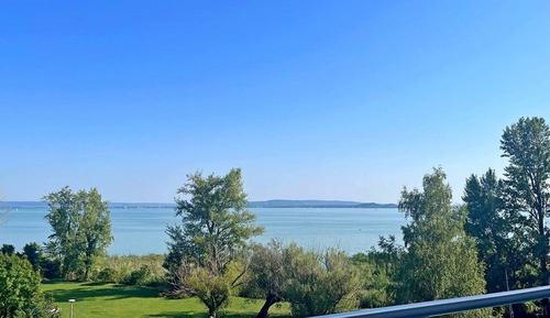 Room, Lake View