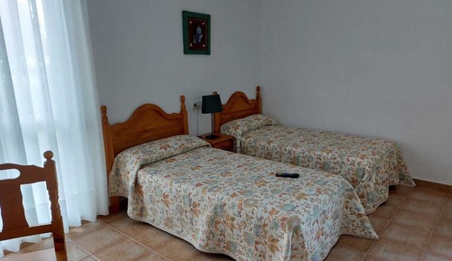 Basic Twin Room