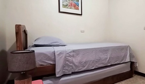 Basic Apartment
