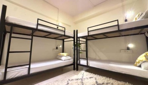 4 Bed Mixed Standard Dorm