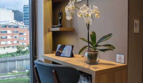 Apartment (C1)