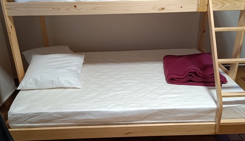 Comfort Shared Dormitory, Multiple Beds