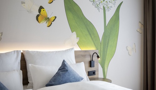 Superior Single Room