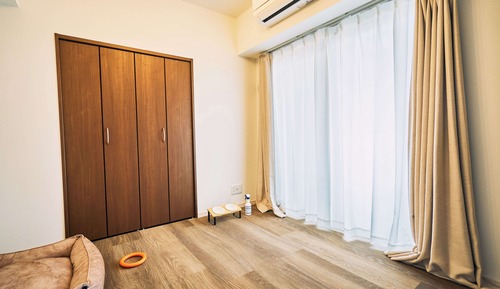 Comfort Apartment, Non Smoking (Pet Friendly, with Rental Car)