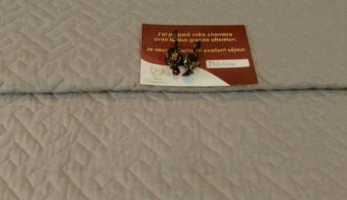 Luxury Room