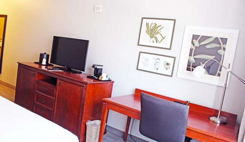 Senior Single Room
